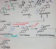 Whiteboard diagrams