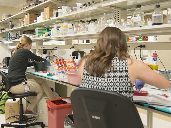 Laura Tetri and Taylor Levin from the Eldridge lab work in the new space