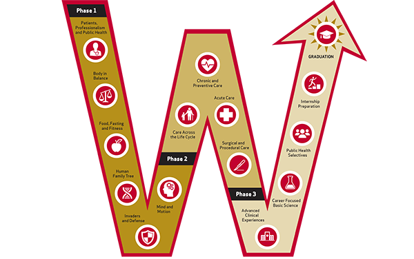 New Med Student Education curriculum graphic