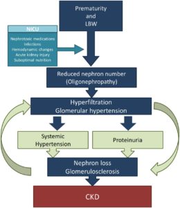 AKI flowchart