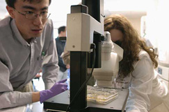 student looking into a microscope