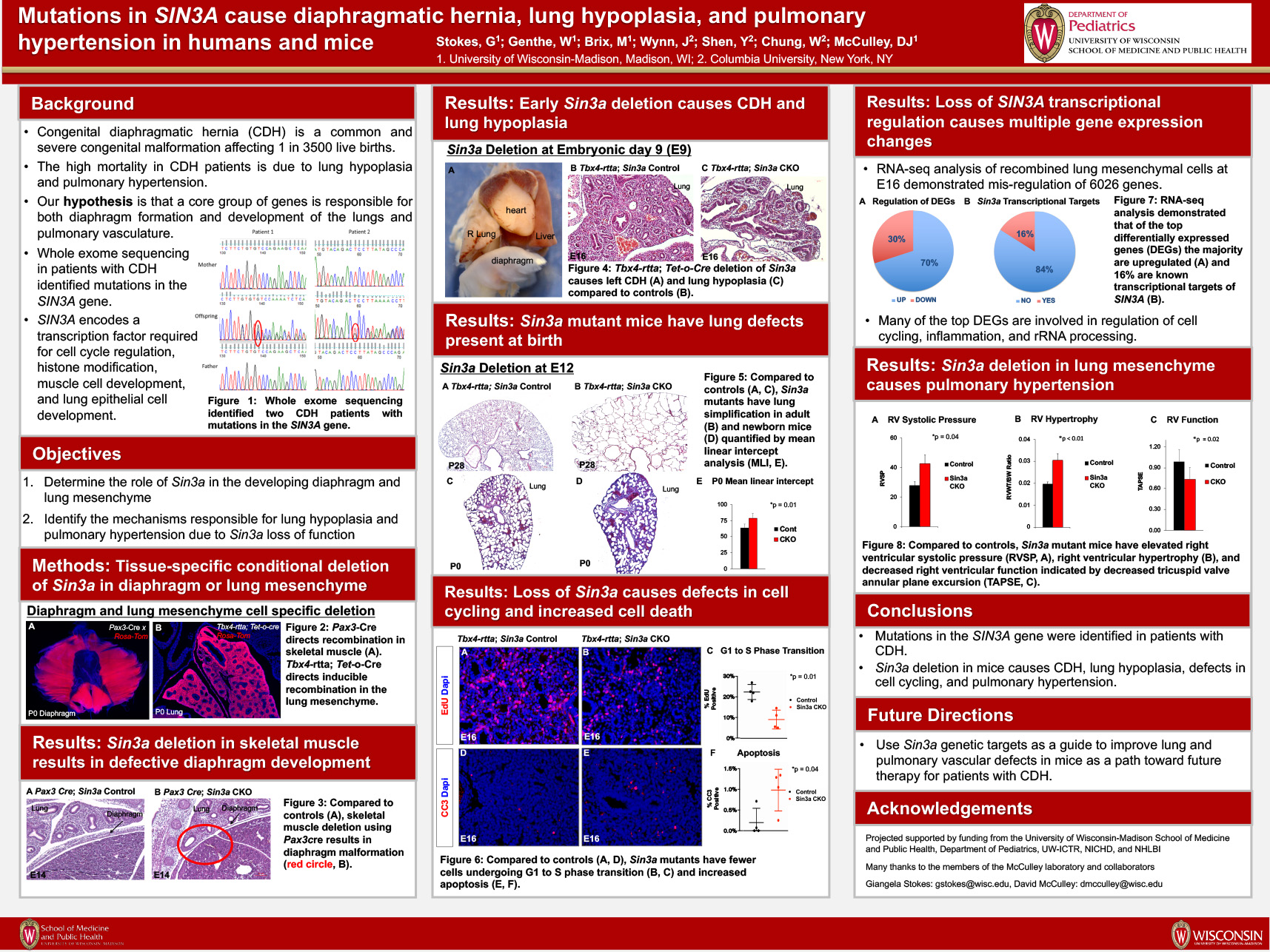 5. Mutations in SIN3A cause diaphragmatic hernia, lung hypoplasia, and pulmonary hypertension in humans and mice poster image