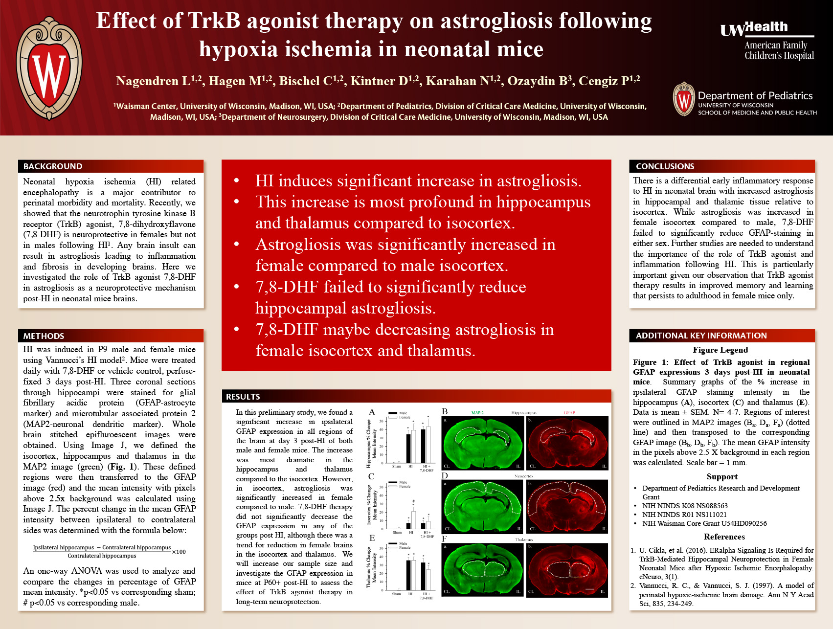 8. Effect of TrkB agonist therapy on astrogliosis following HIE in mice poster image