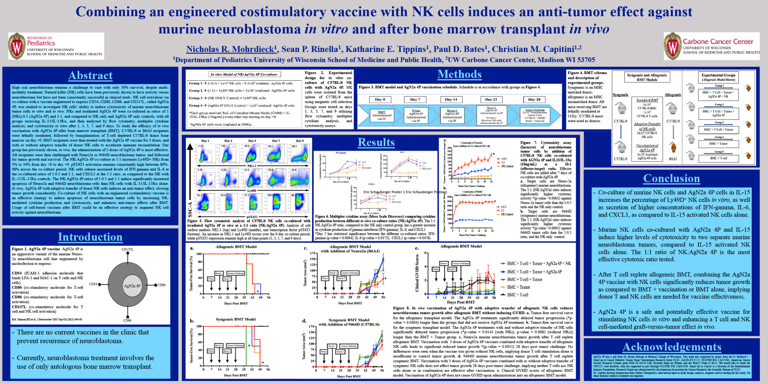 3. Combining an engineered costimulatory vaccine with NK cells induces an anti-tumor effect against murine neuroblastoma in vitro and after bone marrow transplant in vivo poster image