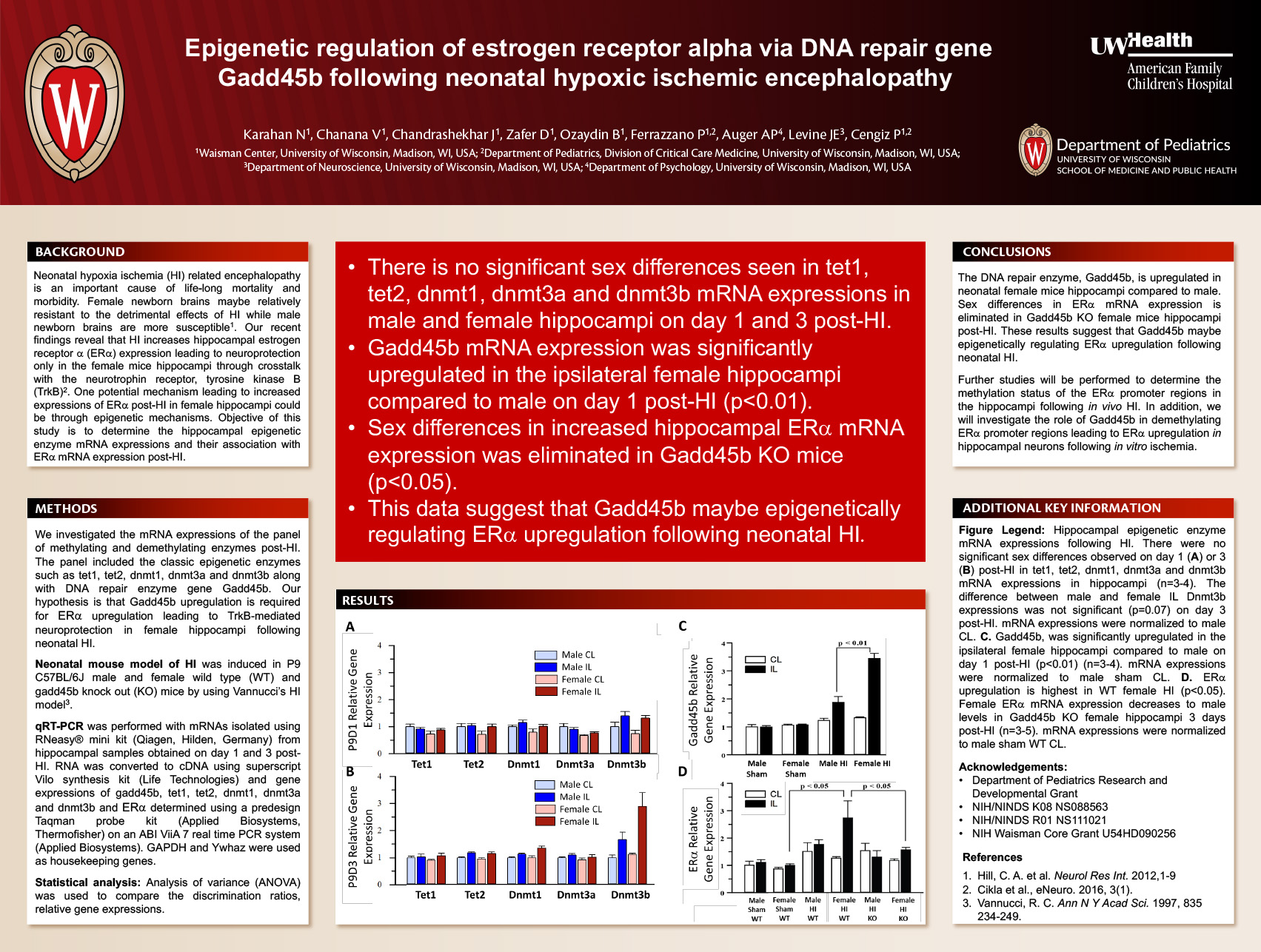 4. Epigenetic Regulation of Estrogen Receptor Alpha via DNA Repair Gene Gadd45b Following Neonatal Hypoxic Ischemic Encephalopathy image