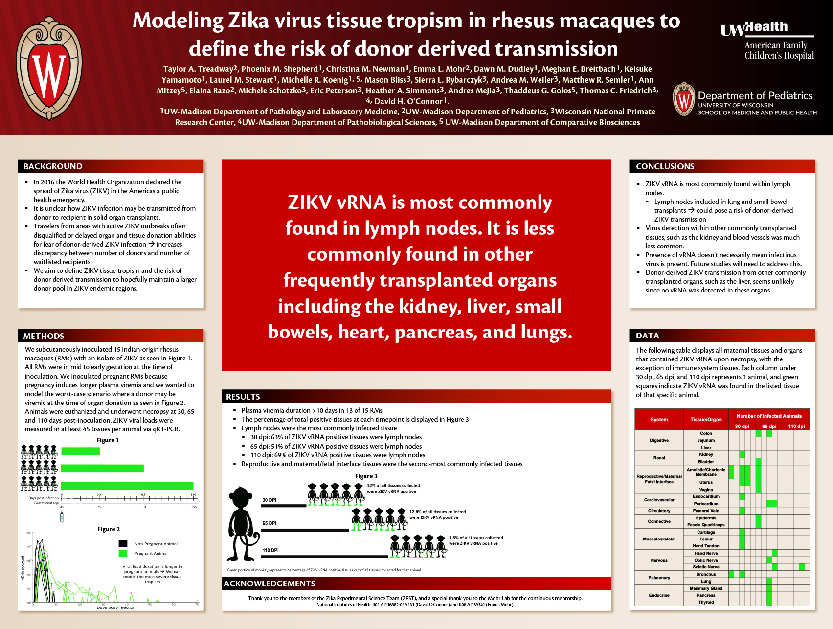 6. Modeling Zika virus tissue tropism in rhesus macaques to define the risk of donor derived transmission poster image