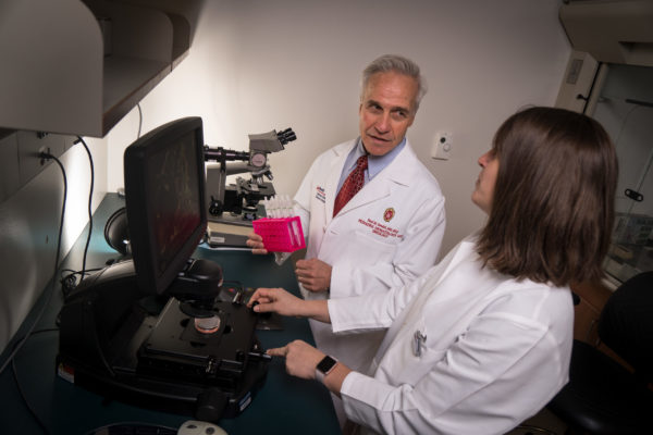 two scientists working in a lab