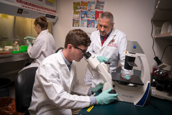 scientiest looking into microscope with doctor observes