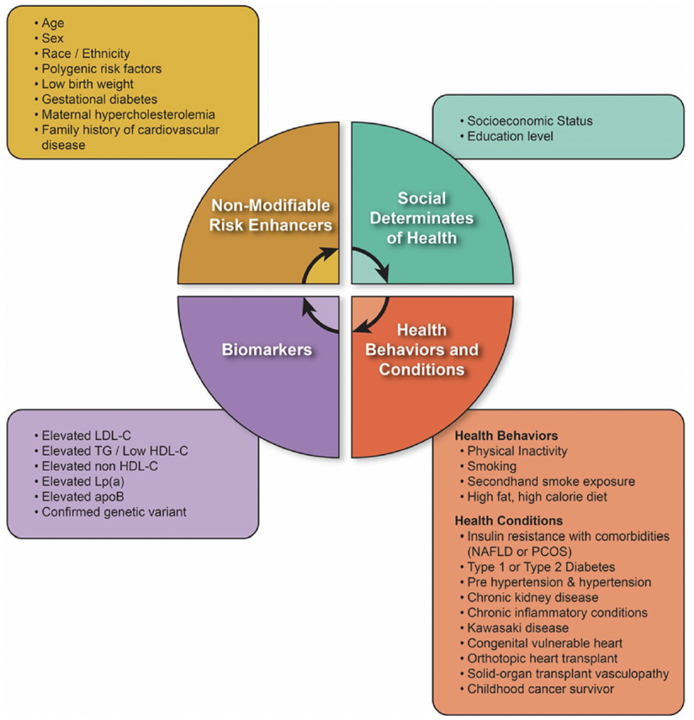 chart of global risk factors 