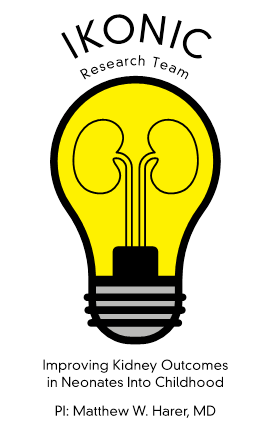 an illustration of a yellow lightbulb and the filaments within the bulb are shaped like a pair of kidneys