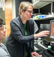 At right, Christine Sorenson, distinguished scientist in the Div. of Neonatology, Dept. of Pediatrics at the University of Wisconsin–Madison, speaks with graduate student and research assistant Yong-Seok Song in the Wisconsin Institutes for Medical Research building on March 22, 2022. The two are looking at at a monitor projecting the contents of a slide containing the retina of a mouse and are studying retinal endothelial cells. Sorenson is one of eleven recipients of the 2022 Academic Staff Excellence Award. (Photo by Althea Dotzour / UW–Madison)