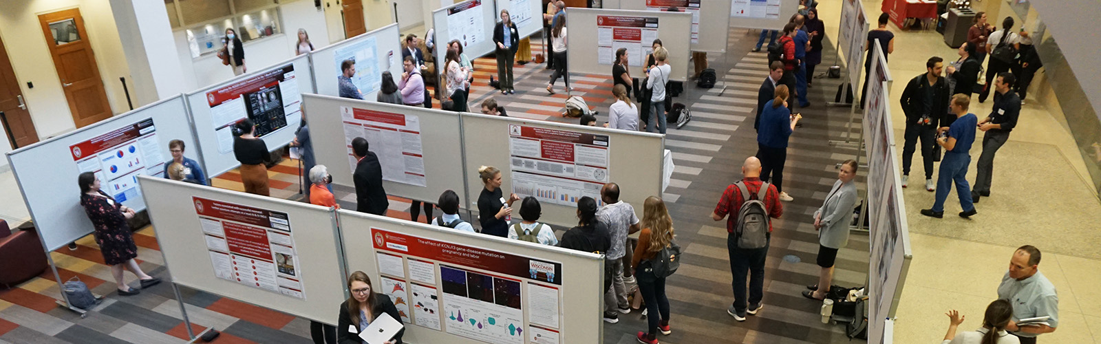 Dozens of people network around scientific posters at a conference.