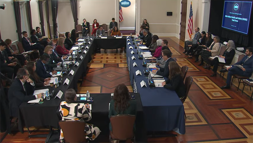 Group of people sitting around a table in a White House conference room