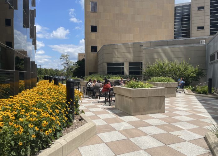 several groups of people eating lunch on an outdoor patio, with a strip of yellow flowers on one side