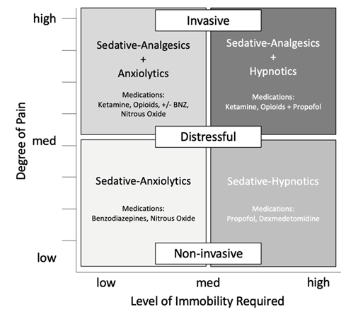 A box graphic describing the four categories of sedative agents in terms of desired clinical effects, types of procedures, and appropriate sedative medication.