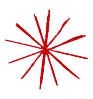Red hand drawn asterisk.