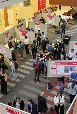 Research week 2026 poster session